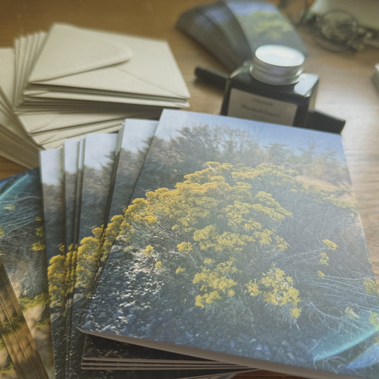 Snail Mail Subscription