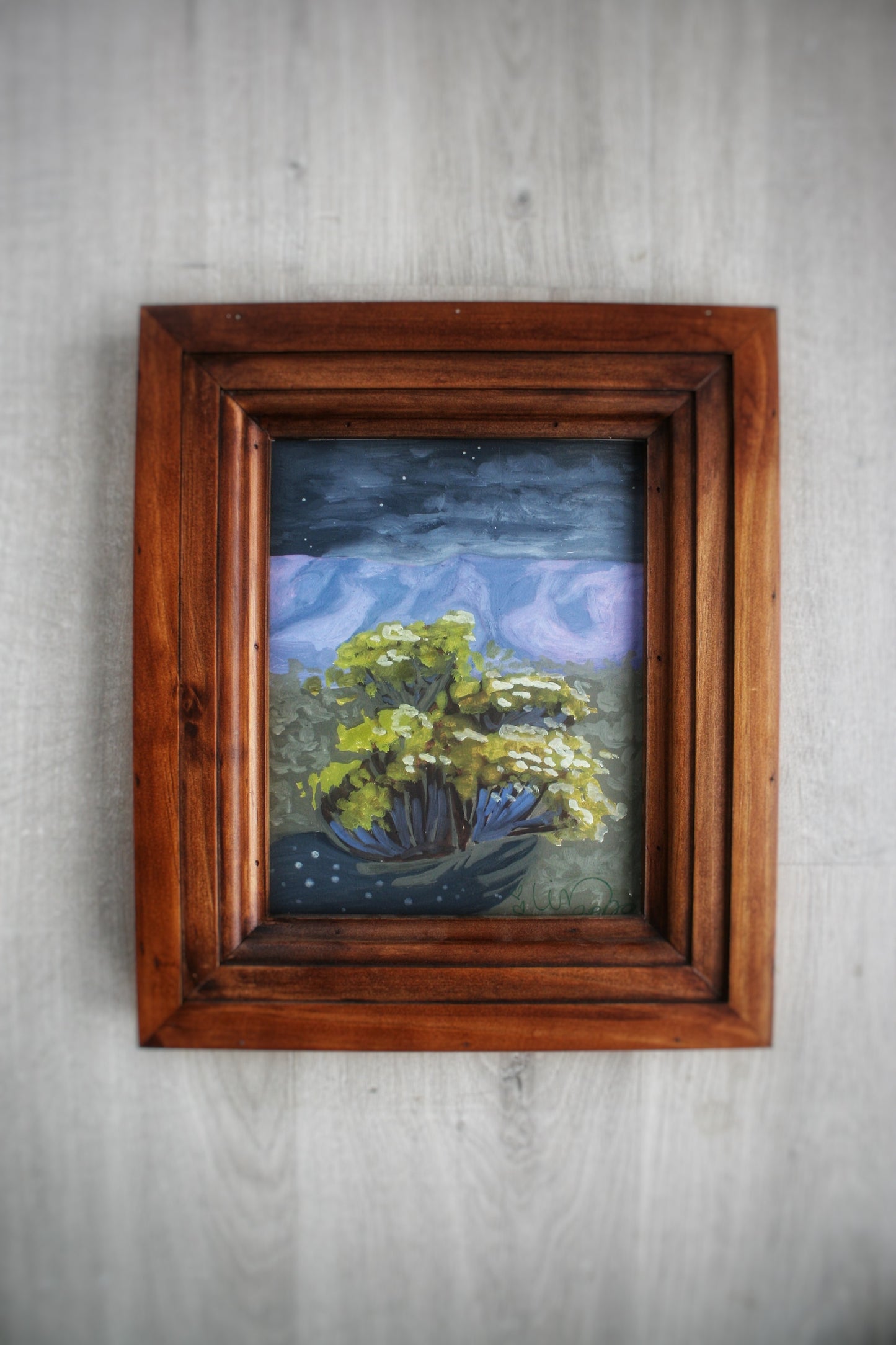 Midnight Rabbit Brush