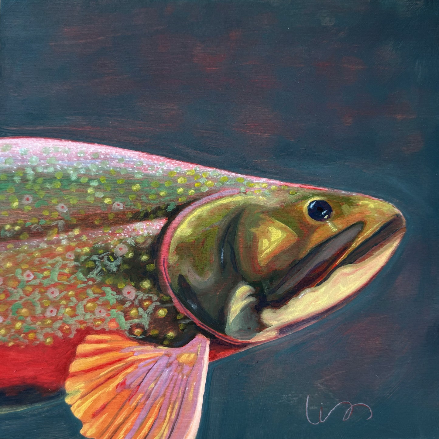 Brook Trout